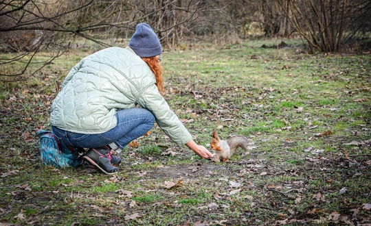 Очаровательные пушистики в ботаническом саду КубГАУ

Фото: Евгений..