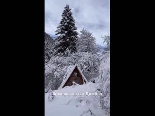 В новогодние праздники 2025, как никогда много отдыхающих в Домбае!
Впрочем, как в Архызе и Красной Поляне.
Они..