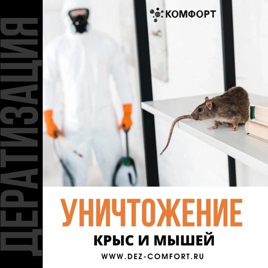 Берко Цемента 14, мусорка из 4-х контейнеров на 7 домов. И конечно четвероногие разносчики заразы бегают по..