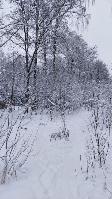 В Волгограде реально будто ранняя весна! ☀️🌳🍃

Эй, зима 2025-го, снег будет?..