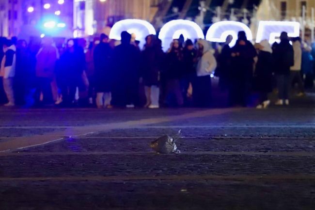 В новогоднюю ночь на Дворцовой вызывали полицию из-за бесхозного пакета

Находка обнаружилась за полчаса до..