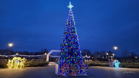 🎄 Парки в станице Старочеркасской в вечернее время обретают особую праздничную атмосферу.

фото: Юлия..