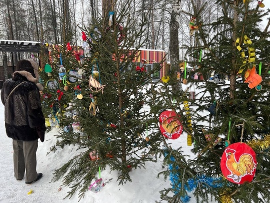 💙 Вот такие красивые новогодние елочки появились в Сормовском парке

Фото: Алина..