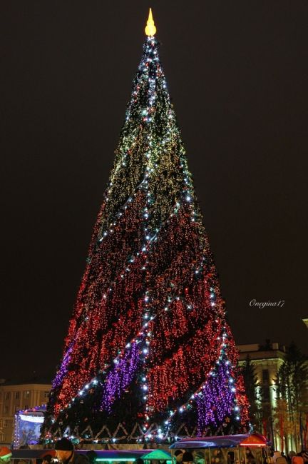 Эволюция главной елки…

Фото: Татьяна..