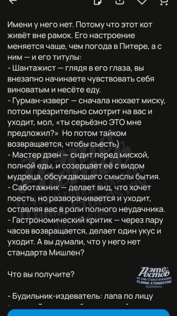 😼 «Пушистого подонка» продают за 10 млн на сайте объявлений. Почему так грубо? Почитайте текст объявления, и..