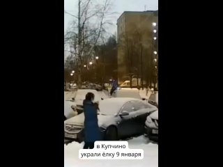 В Купчино заметили альтернативно одарённого Гринча, которому зачем-то понадобилась ёлка 9 января...