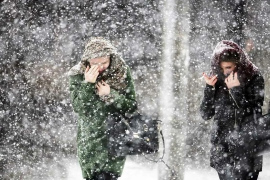 В Самаре 2 января прогнозируют метель и сильный снег🌨️

Видимость при метели составит 700 метров. Также..