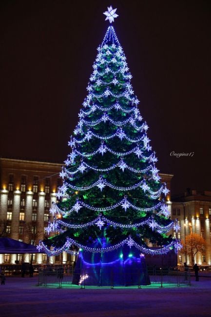 Эволюция главной елки…

Фото: Татьяна..