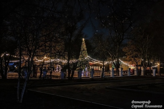 Новогодний Таганрог 💫🎄

Фото: Сергей..