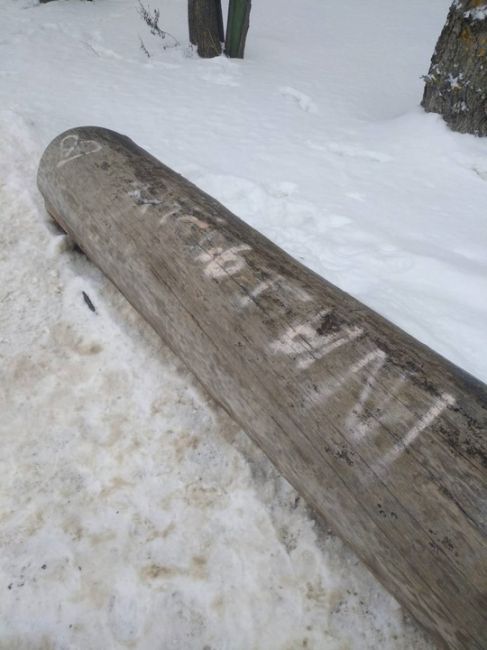 В парке «Швейцария» обнаружены повреждения деревьев, нанесённые хулиганами. 
 
Сотрудники парка крайне..