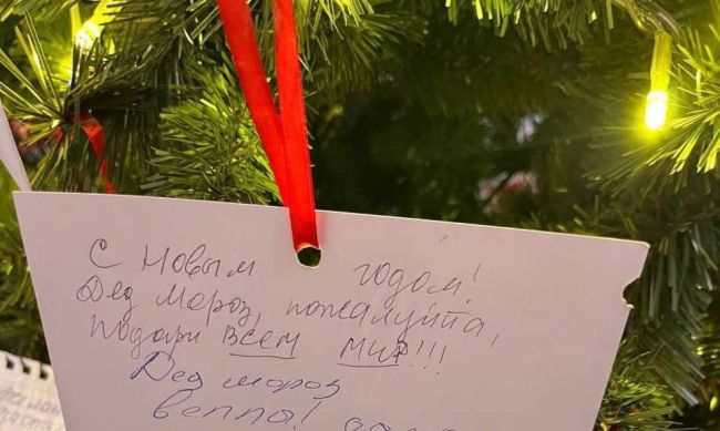 «Дед Мороз, пожалуйста, подари всем мир» — это и другие пожелания мира оставили россияне на ёлке в..