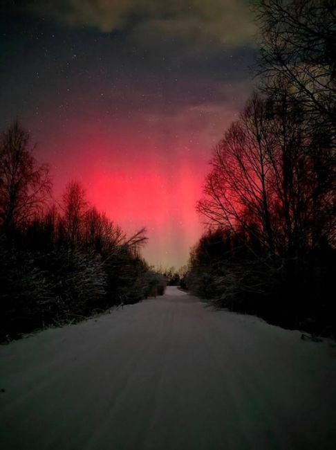 🗣️ Жители Сергача наблюдали «Северное сияние» в Новогоднюю ночь

Кто тоже..