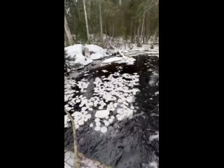 Ледяные блинчики в Нижне-Свирском заповеднике в Ленинградской области 
 
Они может сформироваться на..