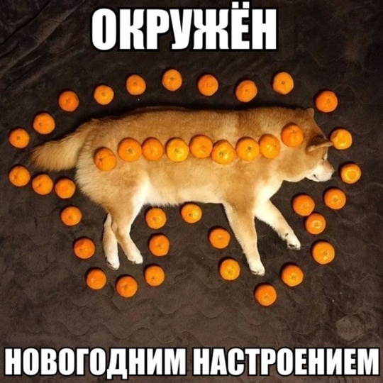 Новогоднее настроение..