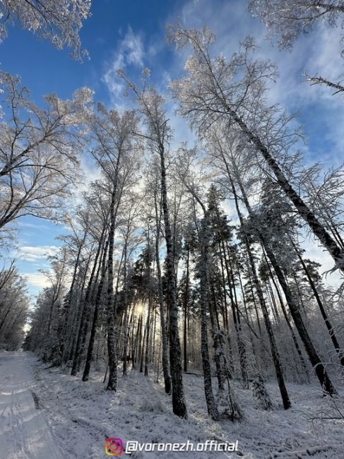 Зимняя сказка в Βopoнеже..