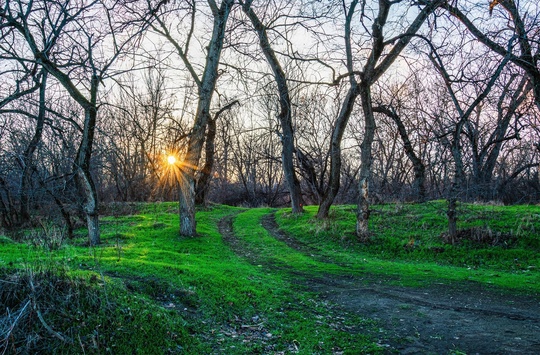 Апрель в январе 🌱❄
 
Фото: Игорь..