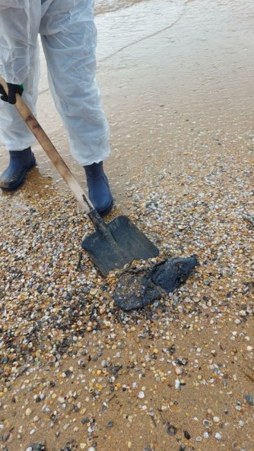 Пермяки работают на пляжах Анапы возле Черного моря после разлива мазута

Они помогают в ликвидации..