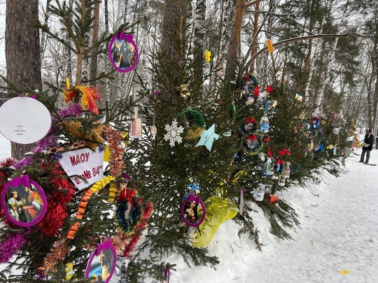 💙 Вот такие красивые новогодние елочки появились в Сормовском парке

Фото: Алина..