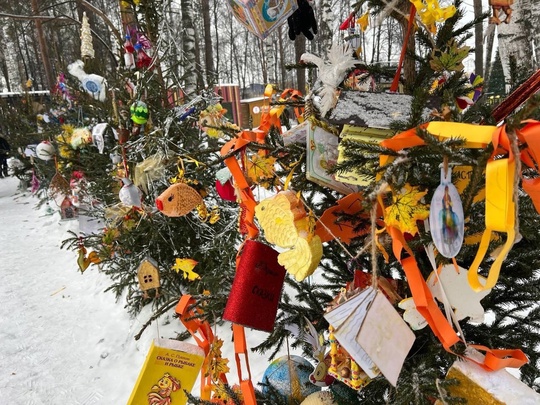 💙 Вот такие красивые новогодние елочки появились в Сормовском парке

Фото: Алина..