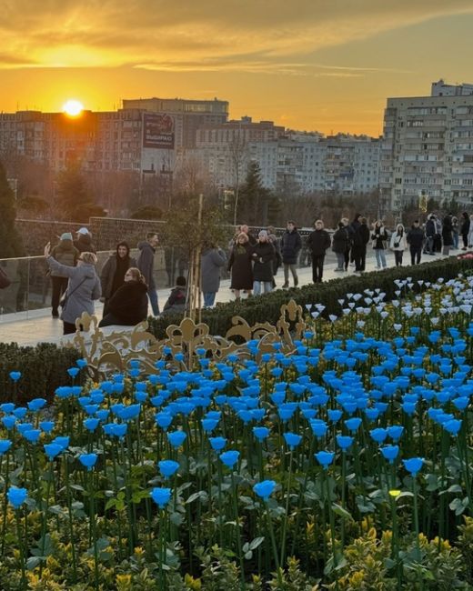 Красочная атмосфера в прекрасном парке
или … когда фильтры только
помешают красоте момента!
🤗🎄🌹
Фото:..