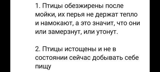 #ПостДобра Жительница Башкирии спасает птиц на Чёрном море 
 
Многодетная мама и художница Ольга Алиева из..