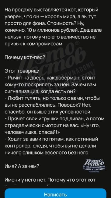 😼 «Пушистого подонка» продают за 10 млн на сайте объявлений. Почему так грубо? Почитайте текст объявления, и..