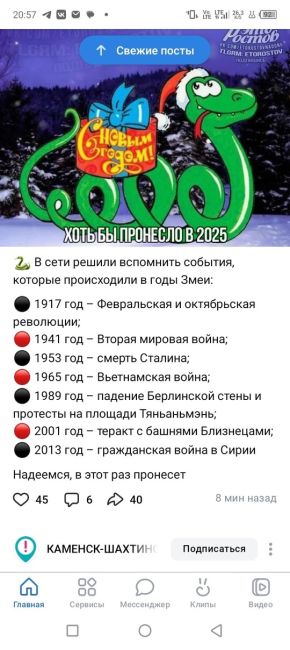 Среди тех, кто нарушил запрет на запуск фейерверков в новогоднюю ночь, были и те, кто решил устроить..