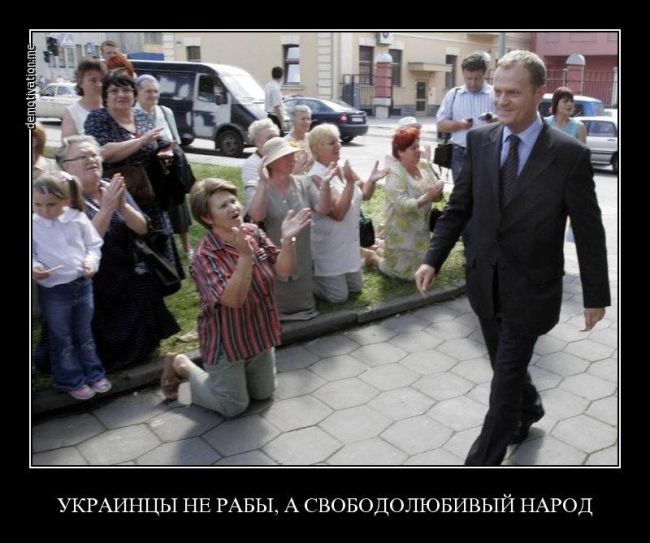 В Петербурге закрылось генконсульство Польши

Сегодня со здания на 5-й Советской улице сняли флаги Польши и..