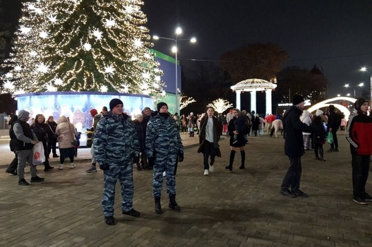 В период новогодних каникул на Дону будет усилено патрулирование и контроль. Более 4700 сотрудников..