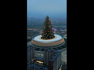 🎄 С Новым 2025 годом 🥰🙌🏻🥰🙌🏻
📹..