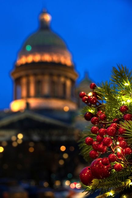 🎄Красота главной елки..