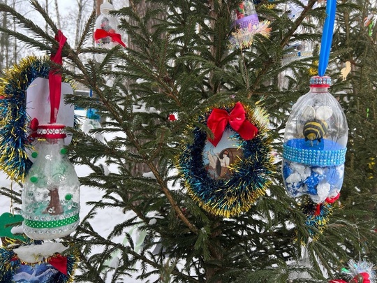 💙 Вот такие красивые новогодние елочки появились в Сормовском парке

Фото: Алина..