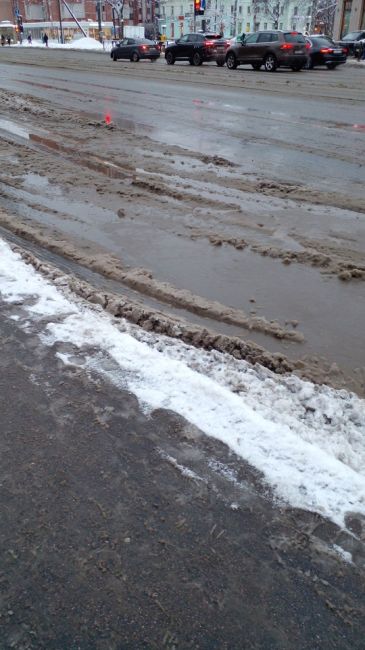 Петербуржцы в соцсетях критикуют уборку города, где объявлен «жёлтый» уровень погодной опасности из-за..