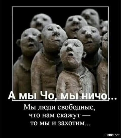 «Проспект Просвещения полностью в такой каше» — петербуржец показал заснеженную остановку, куда зимой..