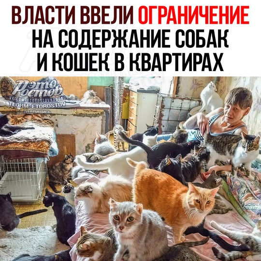 🐕 Ограничения на содержание собак и кошек в квартирах ввели власти Башкортостана 

⚫ В квартирах и домах на..