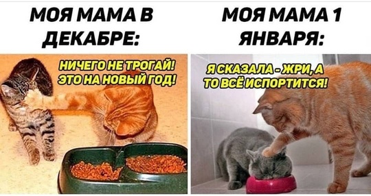 Что у вас на новогоднем столе обязательно должно быть? Делимся в..