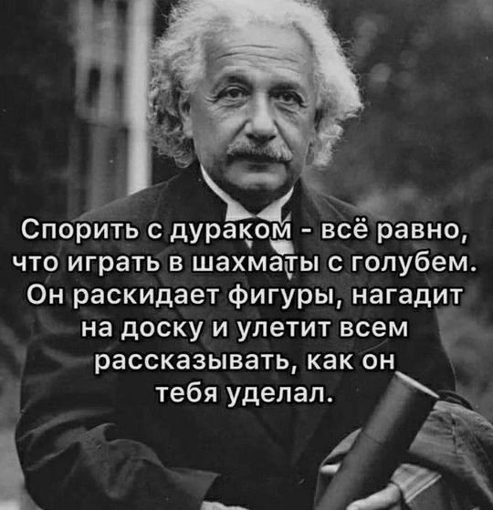 Берко Цемента 14, мусорка из 4-х контейнеров на 7 домов. И конечно четвероногие разносчики заразы бегают по..